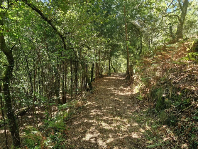 Terreno para Venda em Mosteiro Foto 3