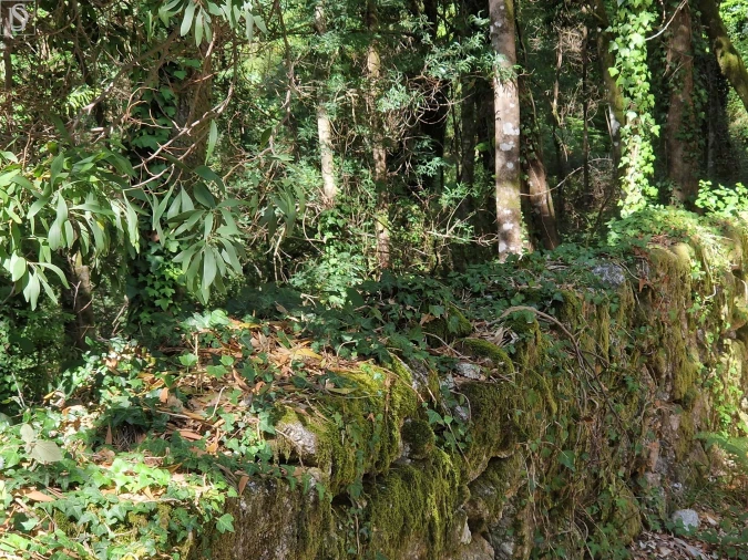 Terreno para Venda em Mosteiro Foto 5