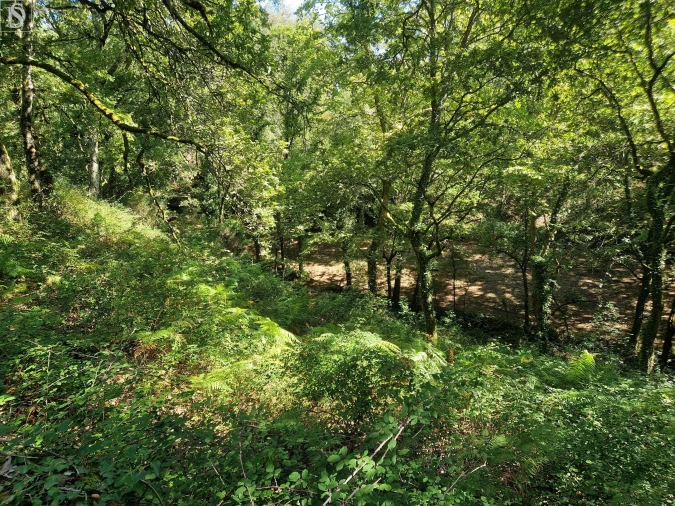 Terreno para Venda em Mosteiro Foto 13