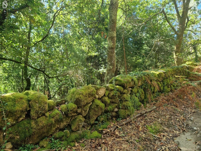 Terreno para Venda em Mosteiro Foto 4