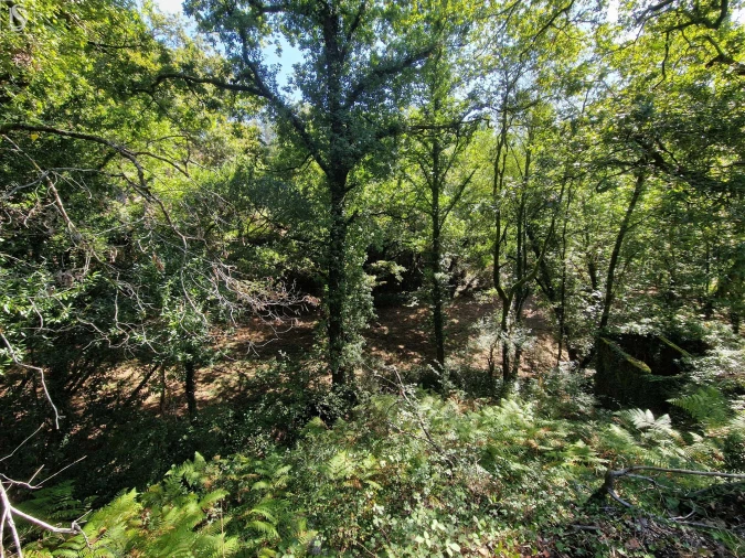 Terreno para Venda em Mosteiro Foto 10