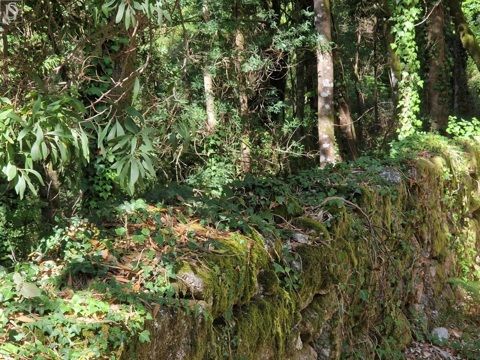 Terreno para Venda em Mosteiro Foto 5