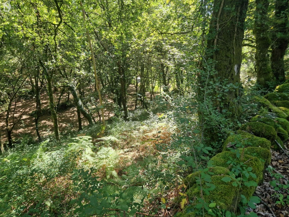 Terreno para Venda em Mosteiro Foto 12