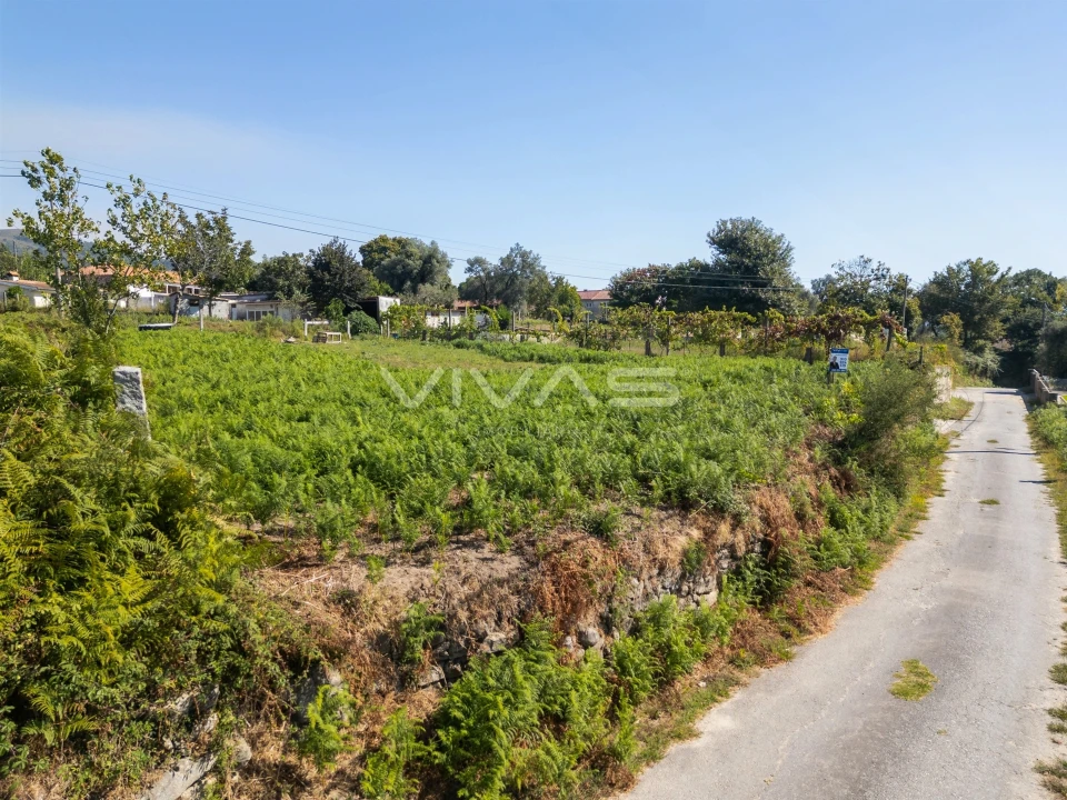 Terreno para Venda em Esqueiros, Nevogilde e Travassós Foto 7