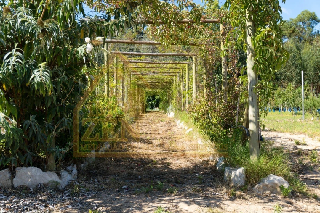 Moradia T3 para Venda em Roliça Foto 10