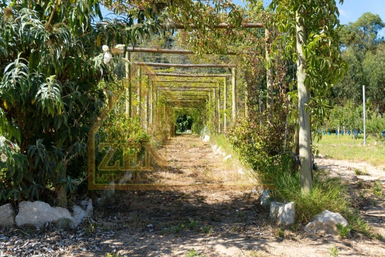 Moradia T3 para Venda em Roliça Foto 10