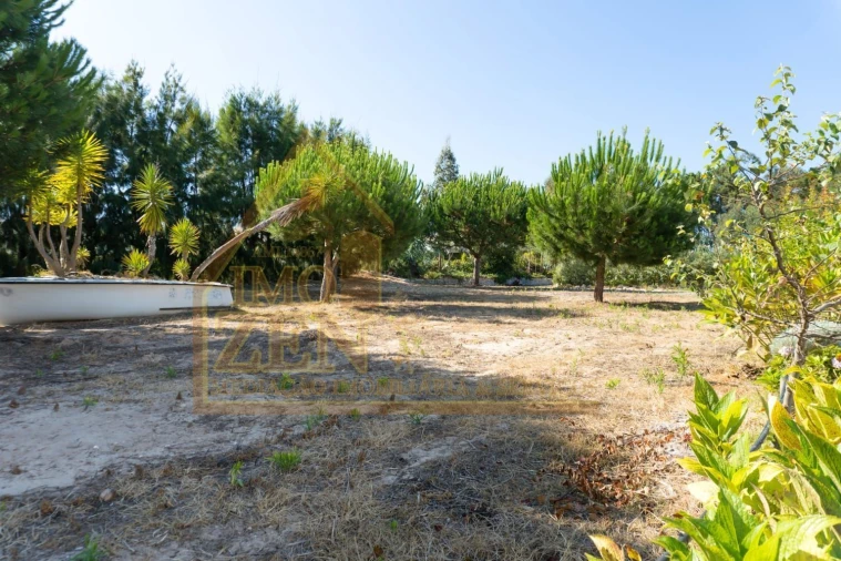 Moradia T3 para Venda em Roliça Foto 14