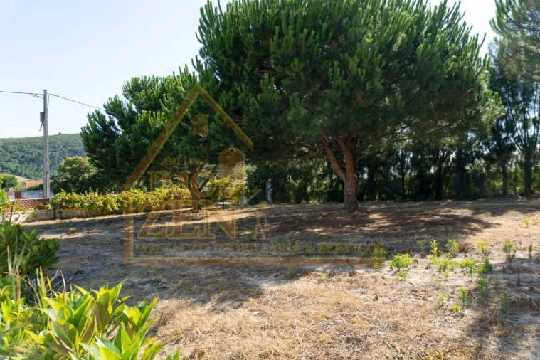 Moradia T3 para Venda em Roliça Foto 11