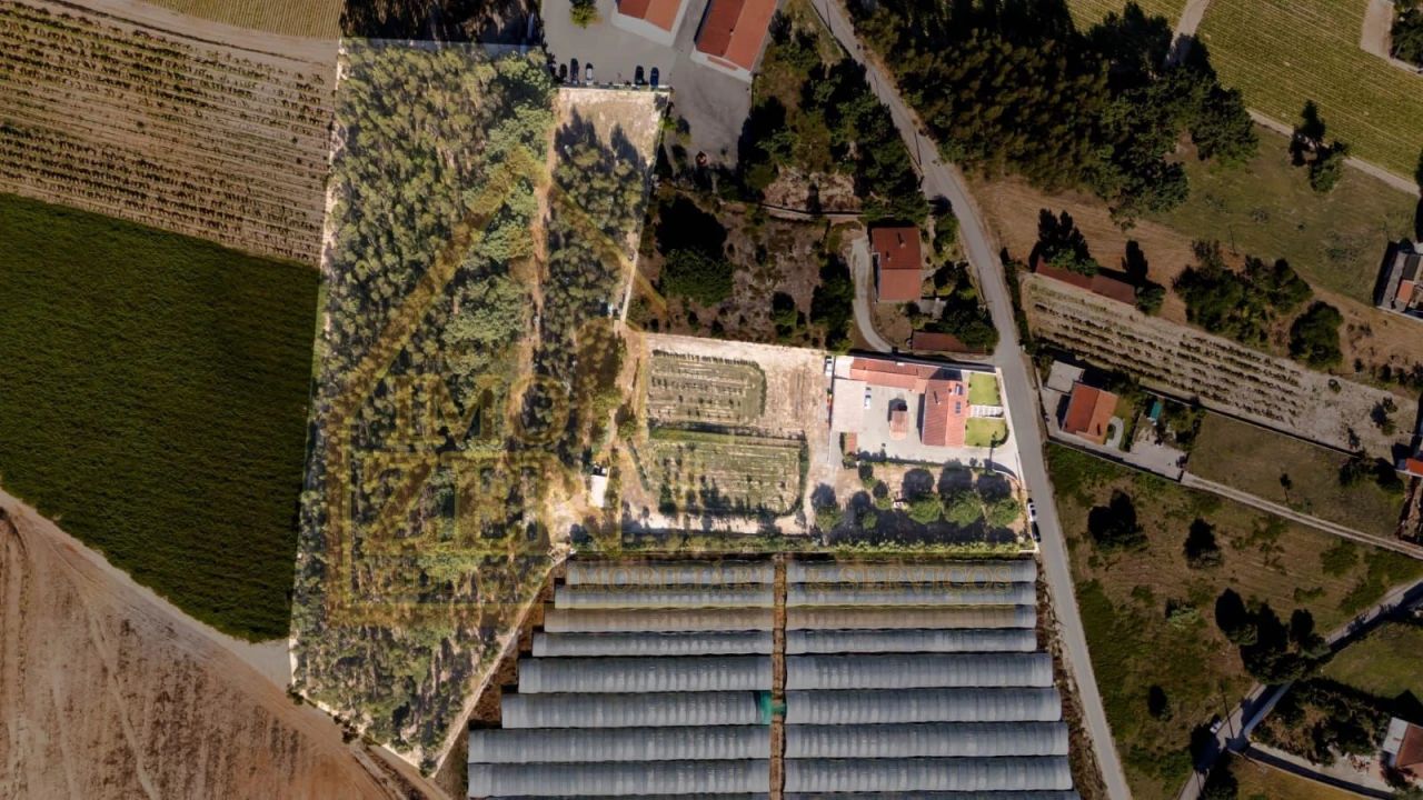 Moradia T3 para Venda em Roliça Foto 20