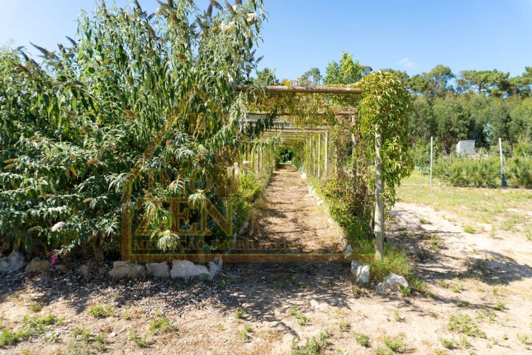 Moradia T3 para Venda em Roliça Foto 9