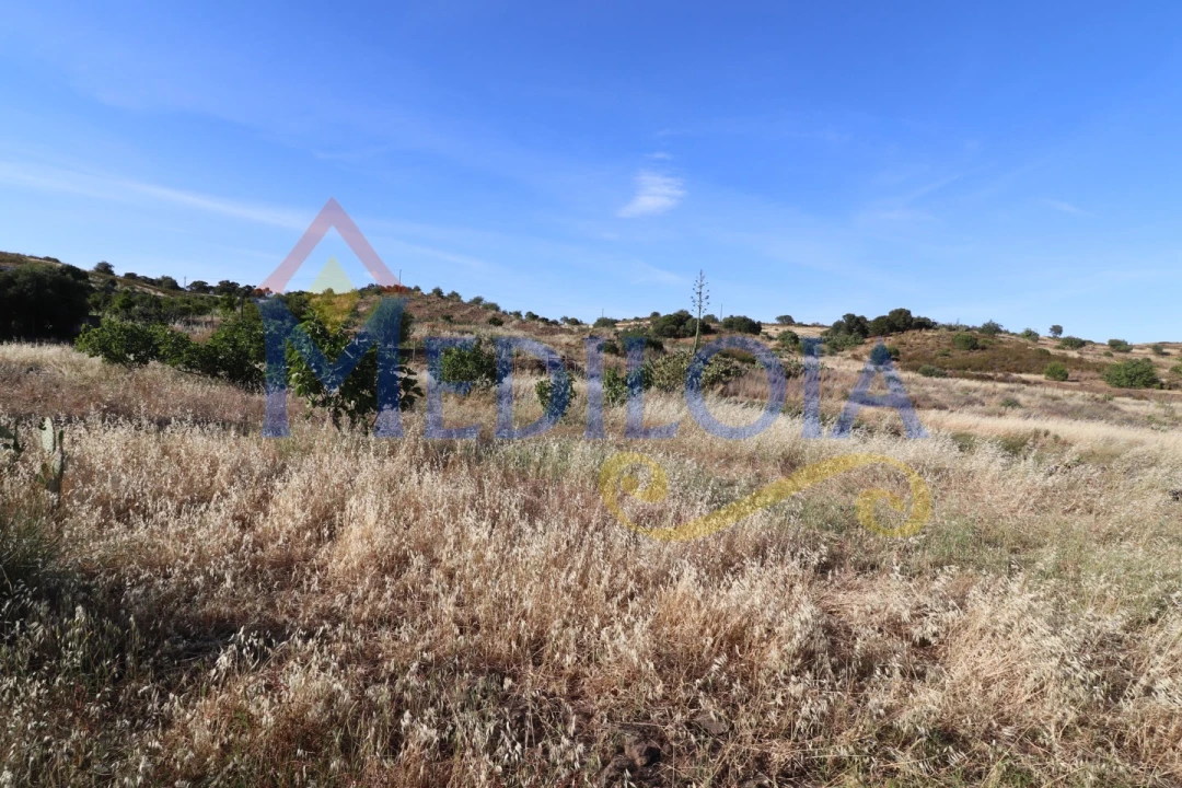 Terreno Agricola ou Rústico para Venda em Castro Marim Foto 1