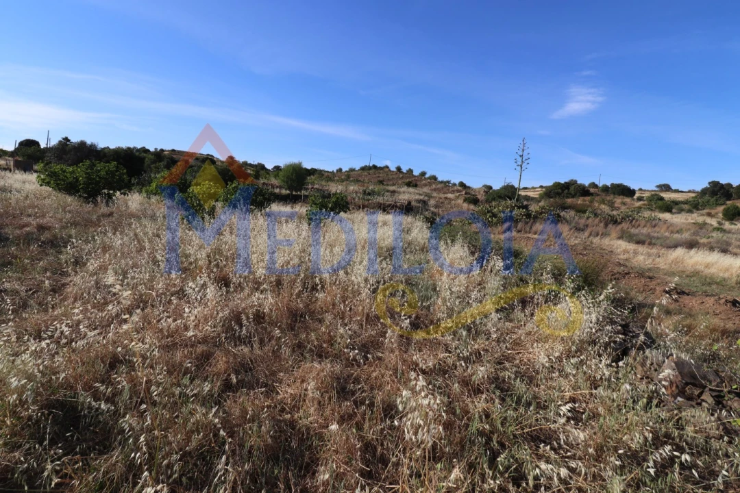 Terreno Agricola ou Rústico para Venda em Castro Marim Foto 4