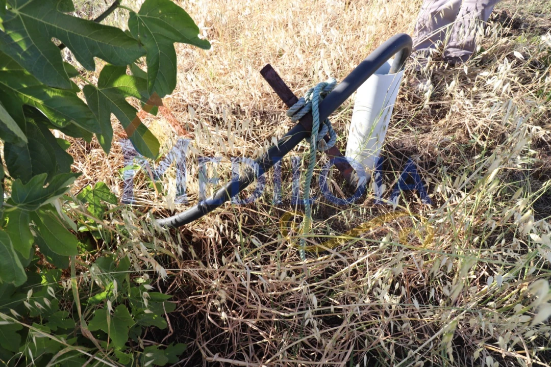 Terreno Agricola ou Rústico para Venda em Castro Marim Foto 8