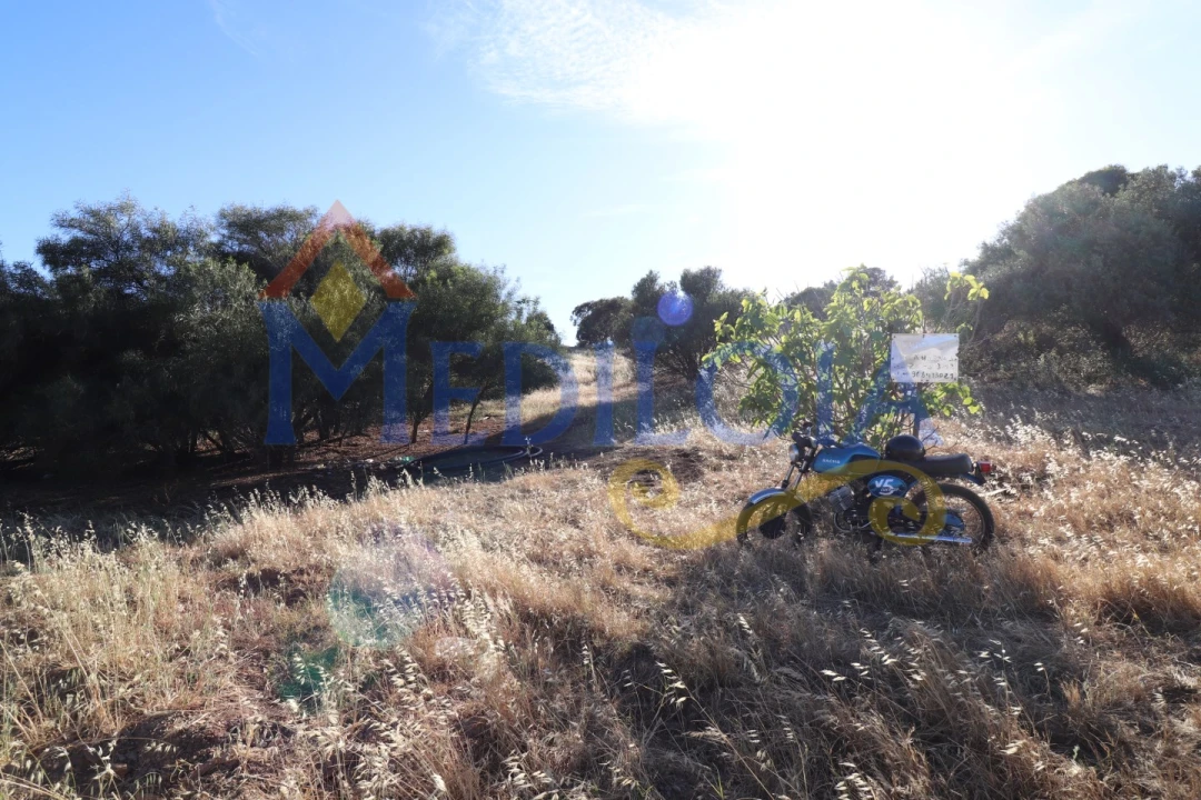 Terreno Agricola ou Rústico para Venda em Castro Marim Foto 10