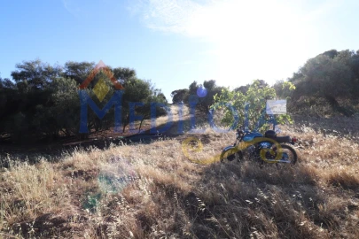 Terreno Agricola ou Rústico para Venda em Castro Marim