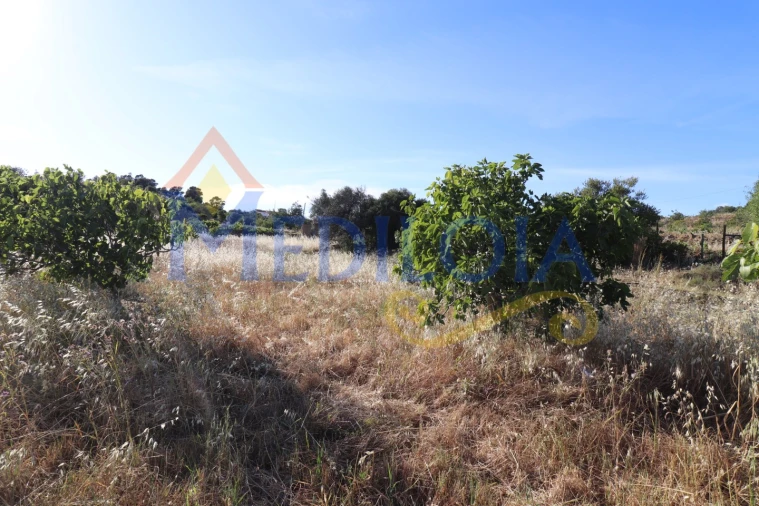 Terreno Agricola ou Rústico para Venda em Castro Marim Foto 5