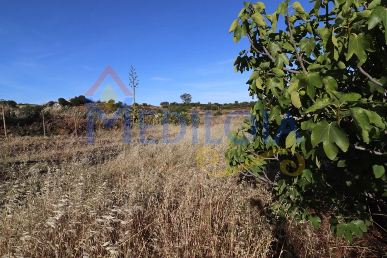 Terreno Agricola ou Rústico para Venda em Castro Marim Foto 7