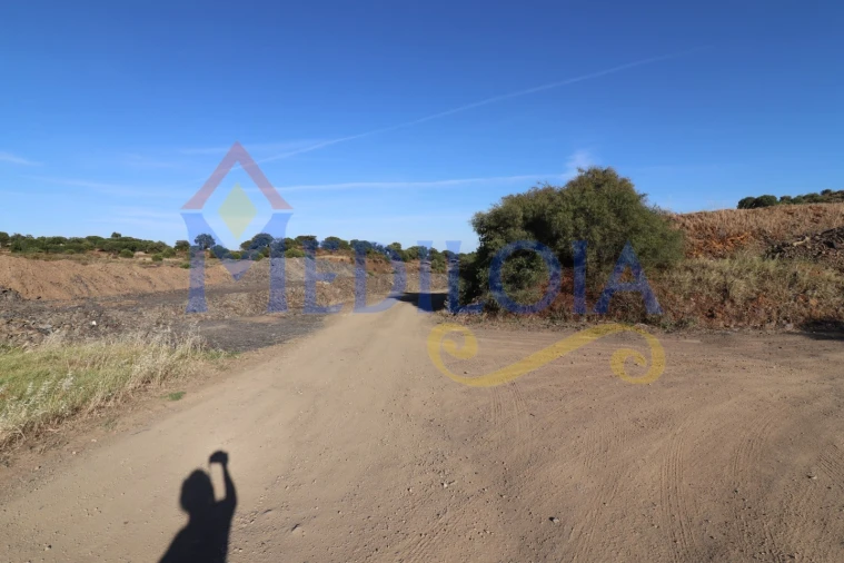 Terreno Agricola ou Rústico para Venda em Castro Marim Foto 12