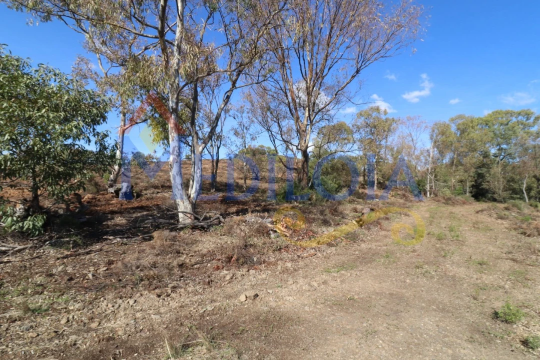 Terreno Agricola ou Rústico para Venda em Castro Marim Foto 10