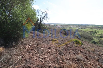 Terreno Agricola ou Rústico para Venda em Castro Marim