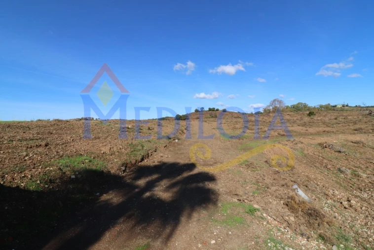 Terreno Agricola ou Rústico para Venda em Castro Marim Foto 4