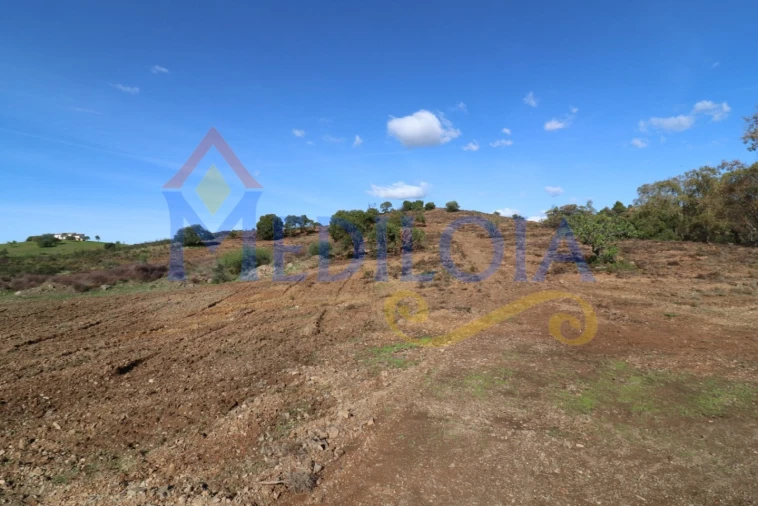 Terreno Agricola ou Rústico para Venda em Castro Marim Foto 7