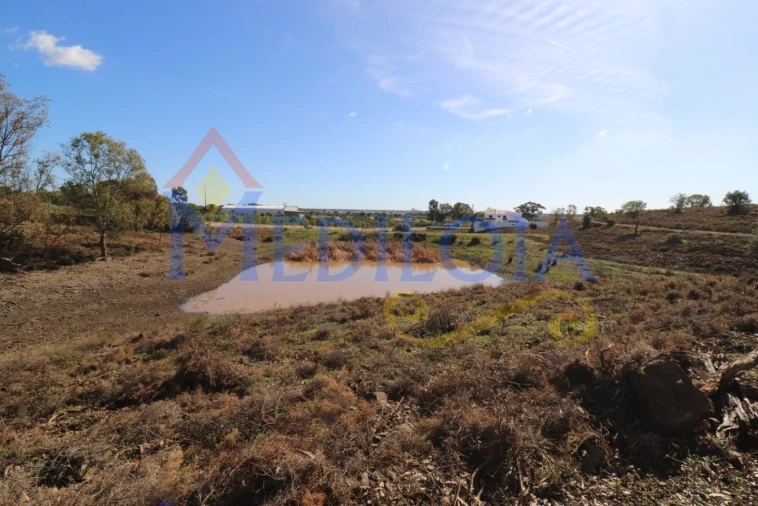 Terreno Agricola ou Rústico para Venda em Castro Marim Foto 11