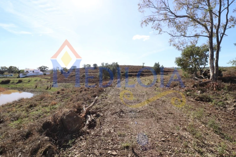 Terreno Agricola ou Rústico para Venda em Castro Marim Foto 12