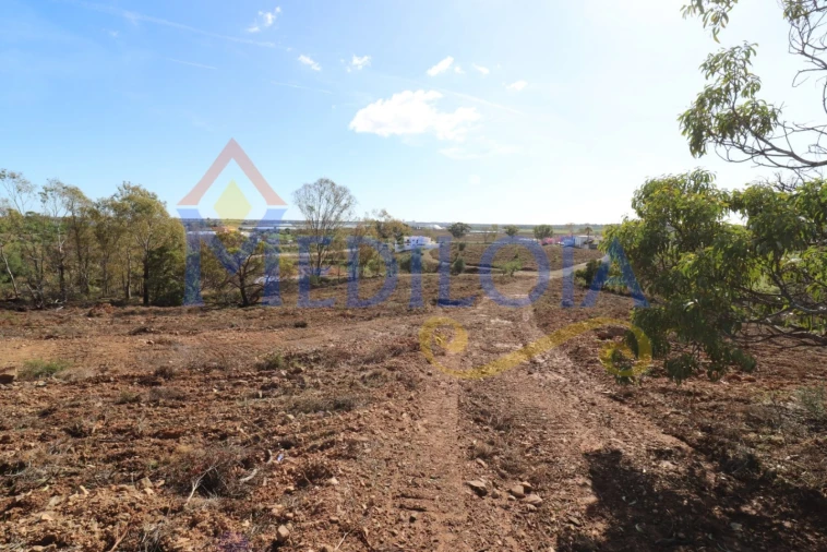 Terreno Agricola ou Rústico para Venda em Castro Marim Foto 24