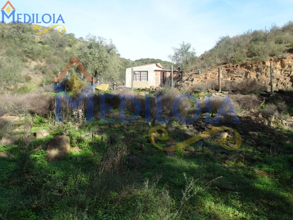 Terreno para Venda em Azinhal Foto 2