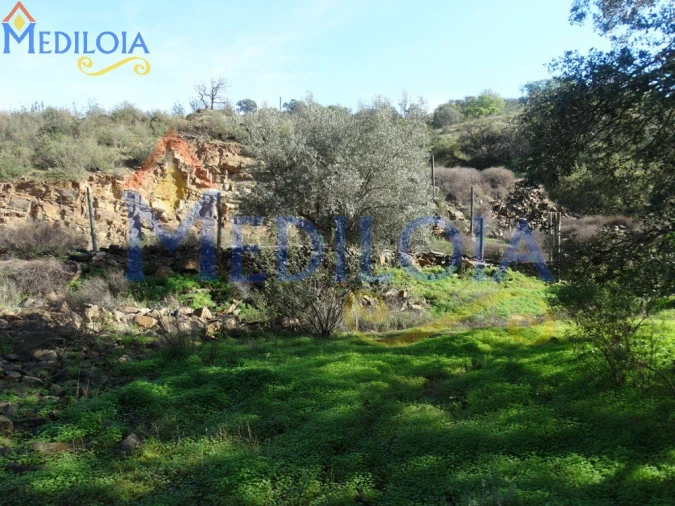 Terreno para Venda em Azinhal Foto 1