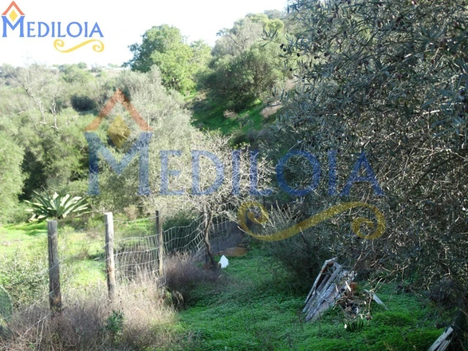 Terreno para Venda em Azinhal Foto 8