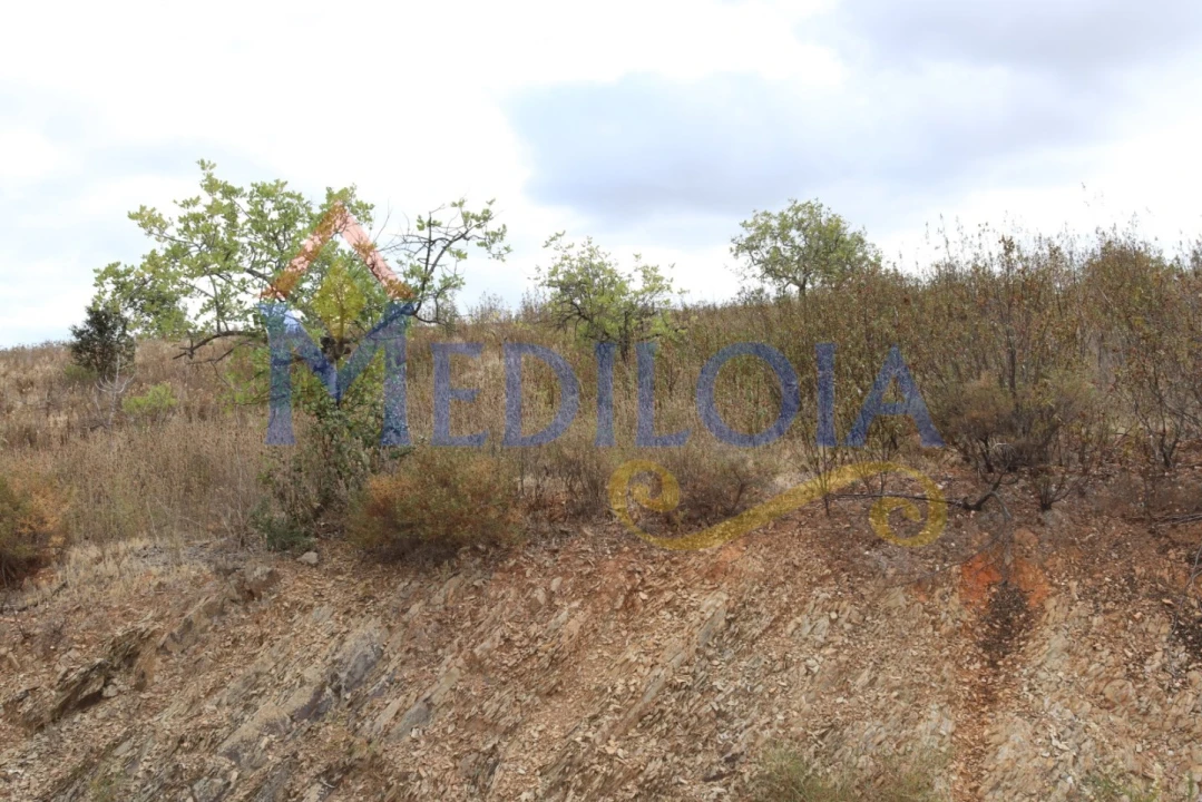 Terreno Misto para Venda em Castro Marim Foto 13