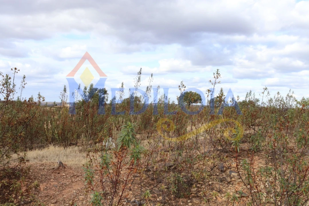 Terreno Misto para Venda em Castro Marim Foto 14