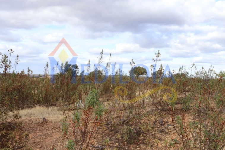 Terreno Misto para Venda em Castro Marim Foto 14