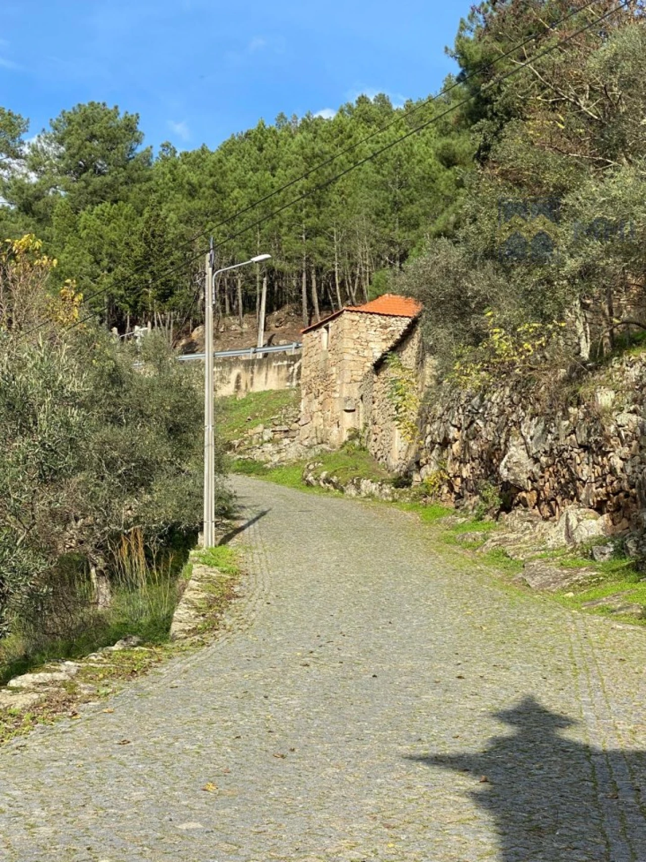 Quinta para Venda em Granja do Tedo Foto 46