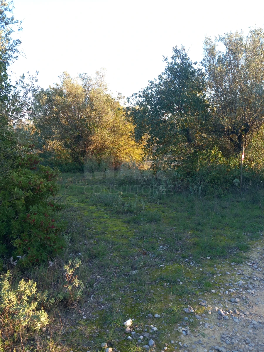 Terreno para Venda em Olaia e Paço Foto 4