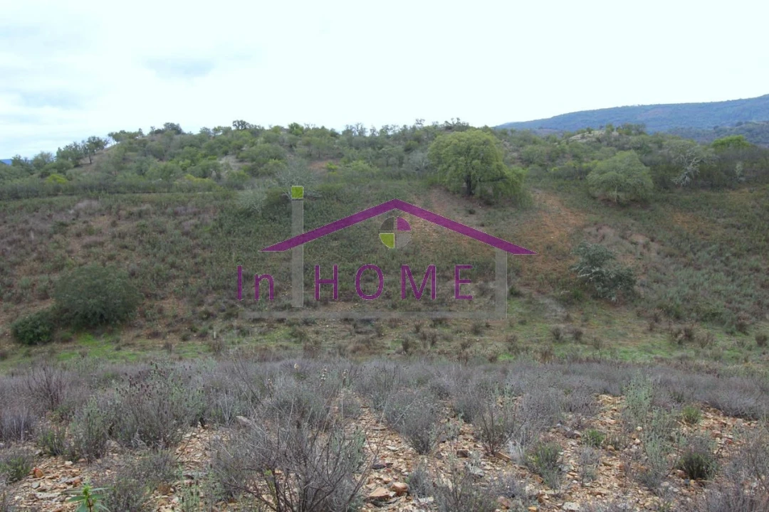 Quinta para Venda em Alte Foto 3