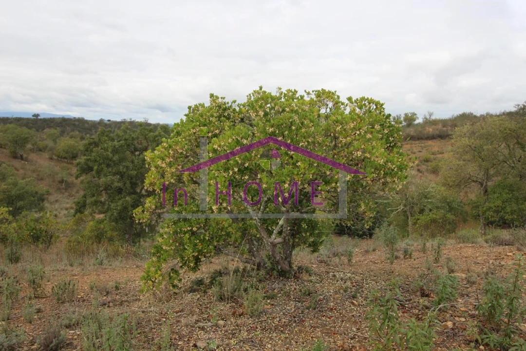 Quinta para Venda em Alte Foto 5
