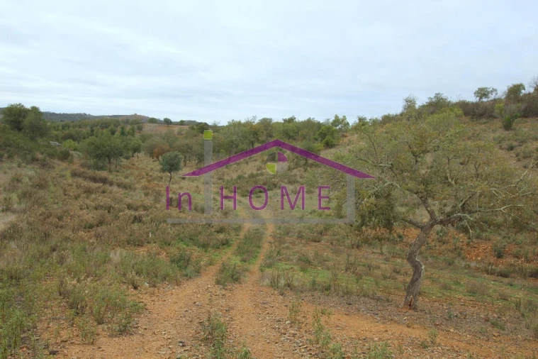 Quinta para Venda em Alte