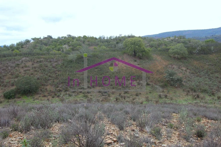 Quinta para Venda em Alte Foto 3