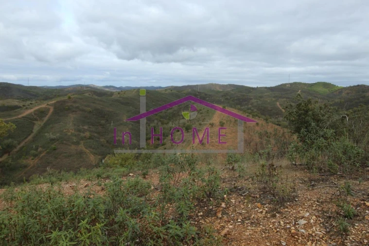 Quinta para Venda em Alte Foto 7