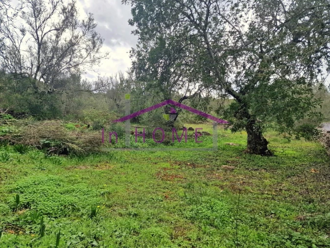 Moradia T2 para Venda em Querença, Tôr e Benafim Foto 13