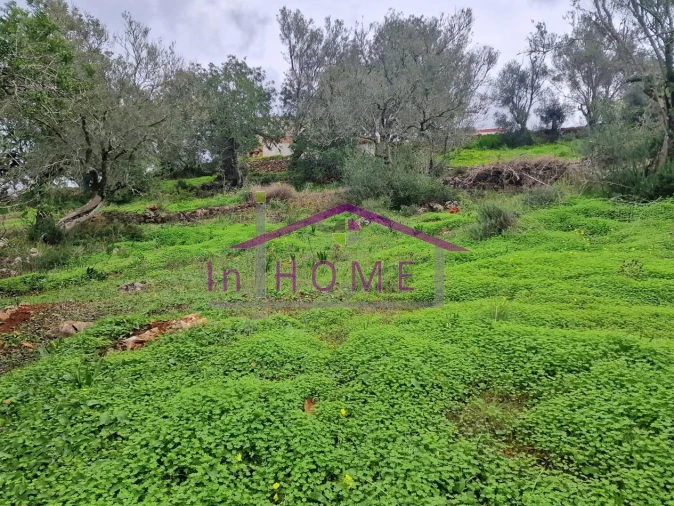 Moradia T2 para Venda em Querença, Tôr e Benafim Foto 14