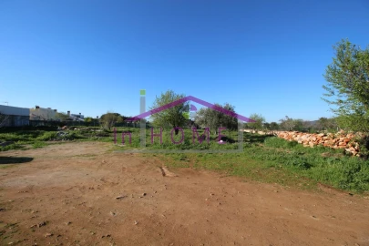 Terreno para Venda em Querença, Tôr e Benafim