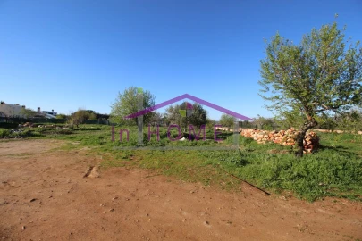 Terreno para Venda em Querença, Tôr e Benafim
