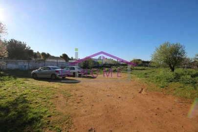 Terreno para Venda em Querença, Tôr e Benafim