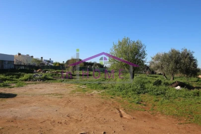Terreno para Venda em Querença, Tôr e Benafim