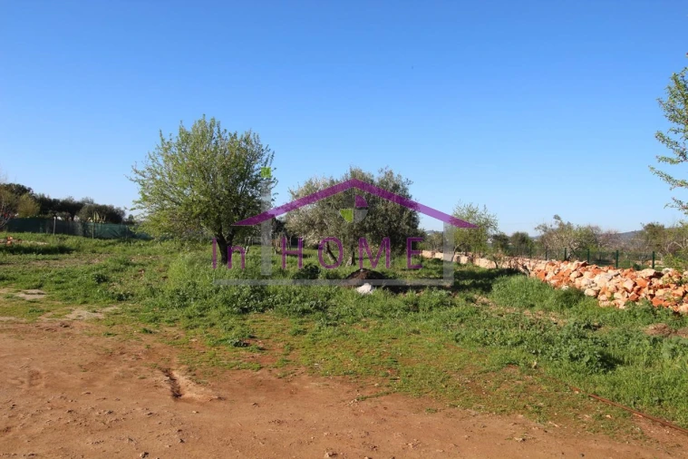 Terreno para Venda em Querença, Tôr e Benafim Foto 5