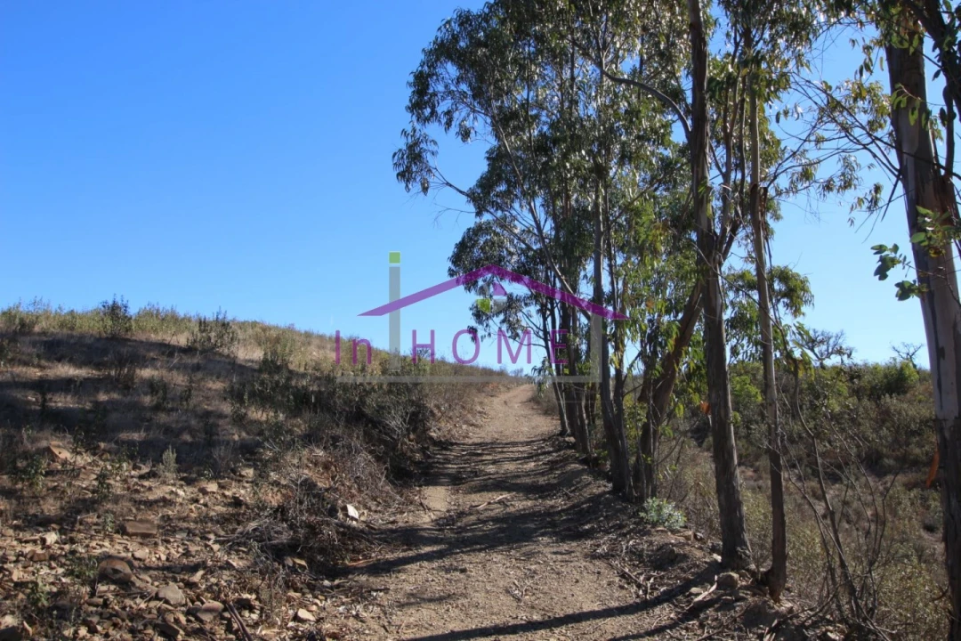 Quinta T2 para Venda em Santa Clara-A-Nova e Gomes Aires Foto 9